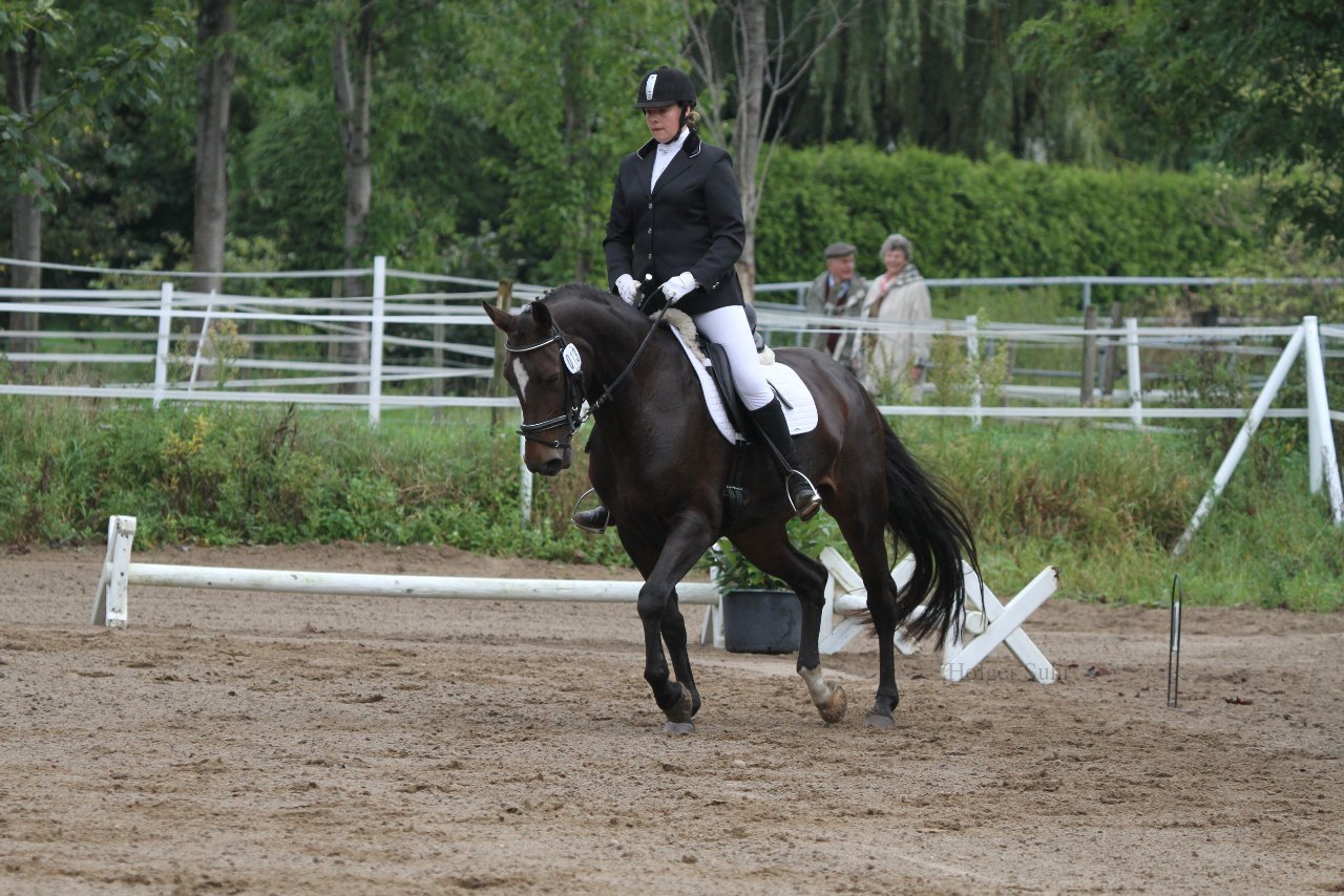 Bild 158 - WBO-Turnier am 18.9.11